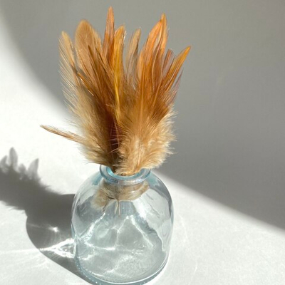 Перья петуха карамель 7 - 13 см. 20 шт.