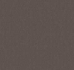 Сканди Дзен Сканди