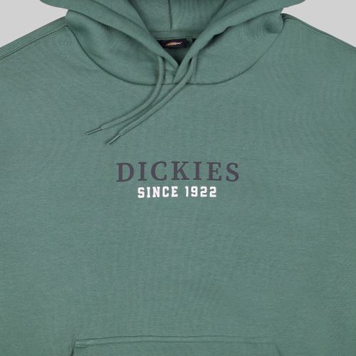 Толстовка мужская Dickies Park Hoodie артикул:DK0A4YEHH151 - купить в магазине Дайс
