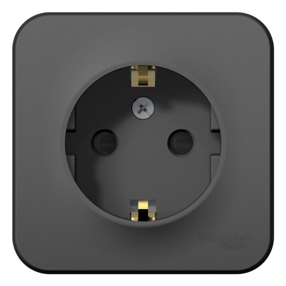 Розетка 1-м ОП Blanca 16А IP20 250В с заземл. защ. шторки антрацит SE BLNRA011106
