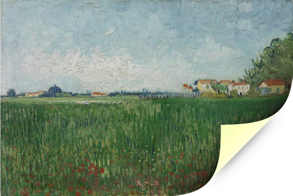 Поле с маками близ Арля, Ван Гог, Винсент, картина (репродукция) Настене.рф