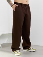 Брюки мужские Интер-2 Виотекс КОРИЧНЕВЫЙ