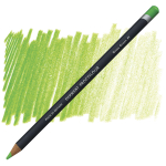 Derwent Procolour. 49 Grass Green