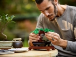 Конструктор LEGO Botanical Collection 10281 Бонсай