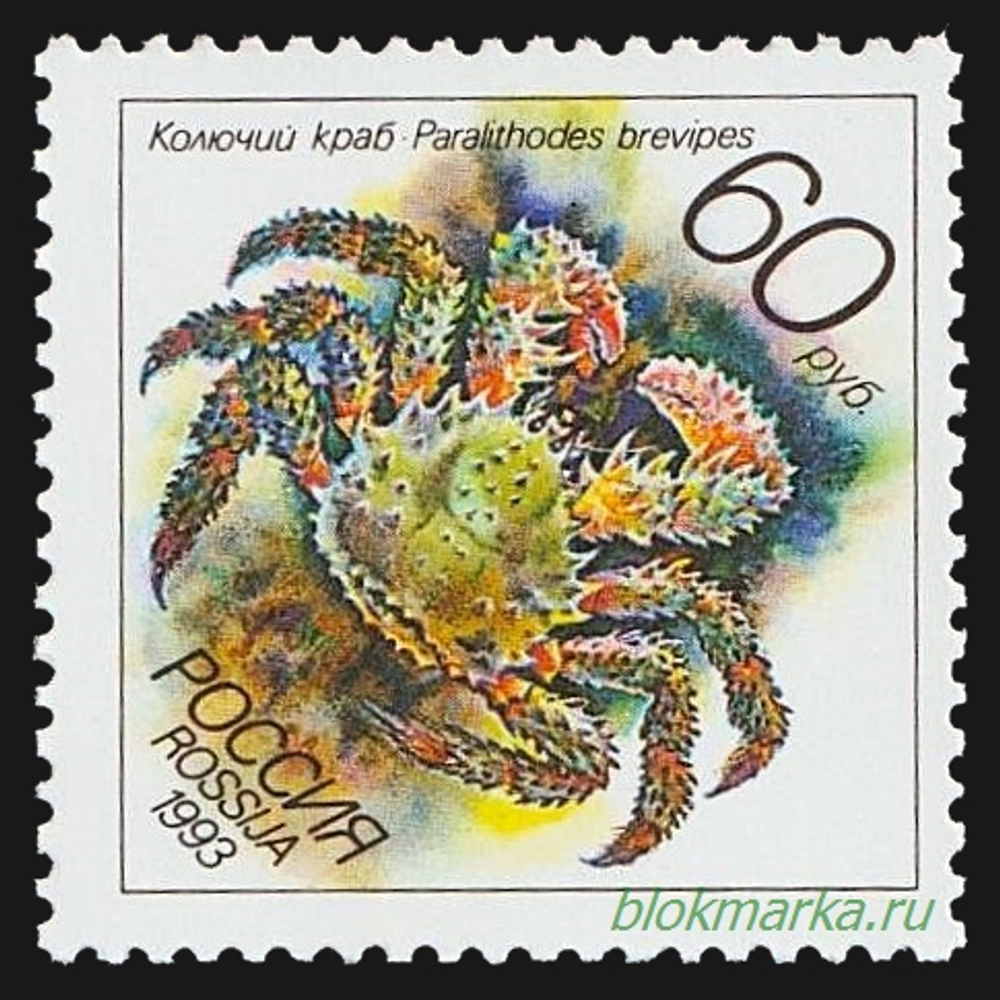 Россия 1993 г № 104-108 Серия Животные морей Тихоокеанского региона Чистая MNH **