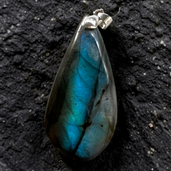 Подвеска. Лабрадор