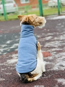 Свитер для собак на молнии попона