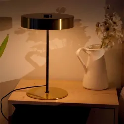 Декоративная настольная лампа Arte Lamp