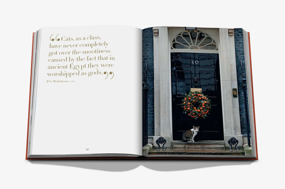 Assouline Книга The Classics Collection Chic Cats на английском языке
