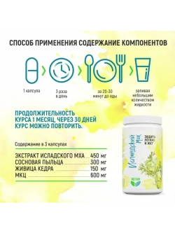 Исландский мох от кашля для иммунитета