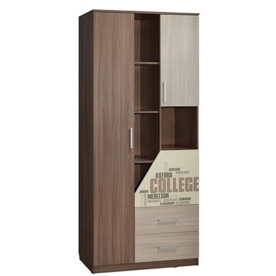 Шкаф комбинированный Колледж