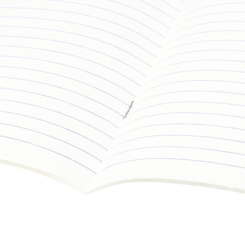 Тетрадь предметная NAVIGATOR 48 листов, выборочный лак, ЛИТЕРАТУРА, клетка, подсказ, BRAUBERG, 403544