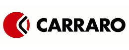 CARRARO ZF DANA