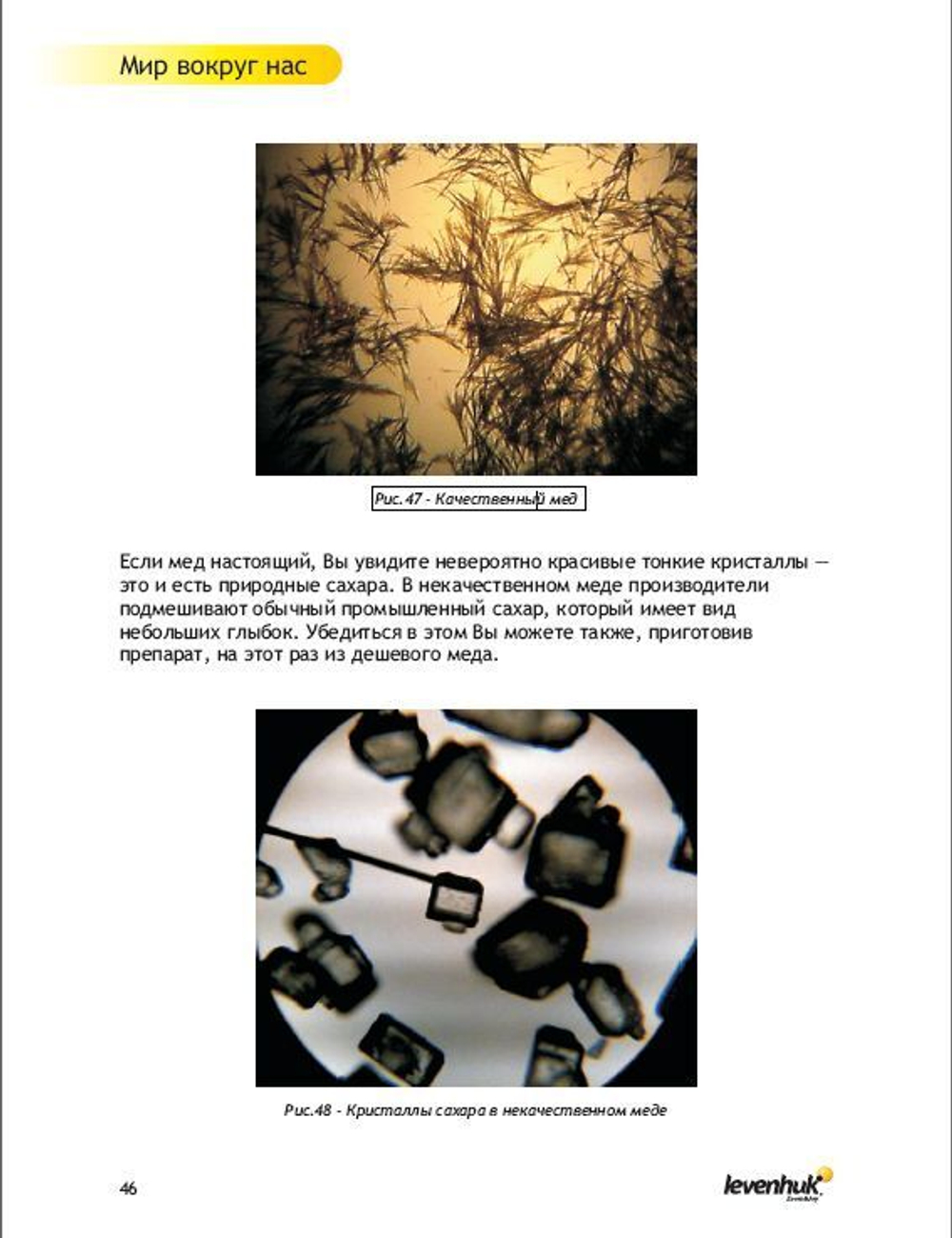 Набор для опытов Levenhuk K50