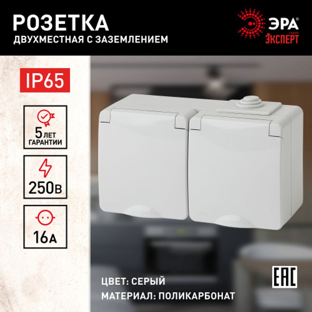 11-2603-03 ЭРА Розетка 2х2P+E гориз. IP65, 16A-250В, ОУ, серый