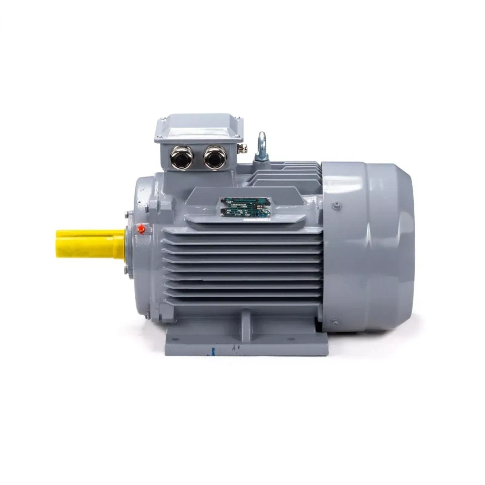Электродвигатель ESQ PR 160 M4 GST-Б1-S12-IE2 18,5/1500 IM1001