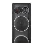 Акустика напольная Ginzzu GM-326