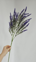Лаванда на длинной ножке / Арт 5171
