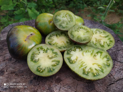 Зелёная богиня Ксанаду (Xanadu green Goddess) сорт томата