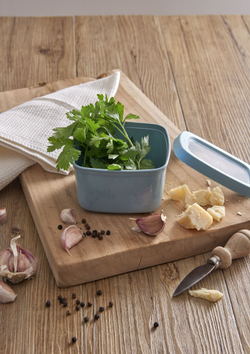 Контейнер квадратный 500мл SNIPS