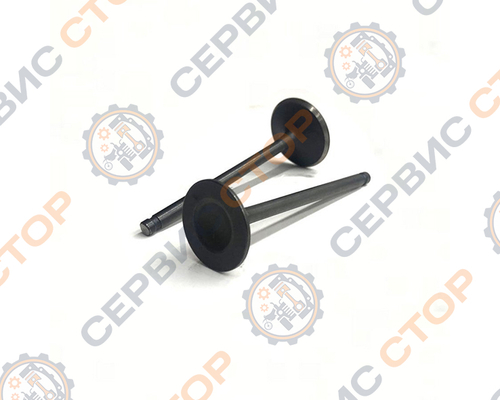 Клапаны ГРМ 2шт 172FMM-3A ZS250 (CB250-F) X-TECH НФ-00005083