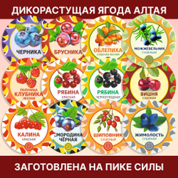 Калина красная. Алтайская "Светлая" ягода сушеная