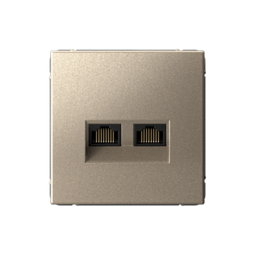 Розетка компьютерная 2-м ArtGallery RJ45 + RJ45 кат.5E механизм шампань SE GAL000585