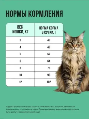 Корм сухой полнорационный BOWL WOW с индейкой, курицей и шпинатом для стерилизованных кошек