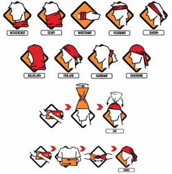 Бандана BUFF Polar Shann Multi