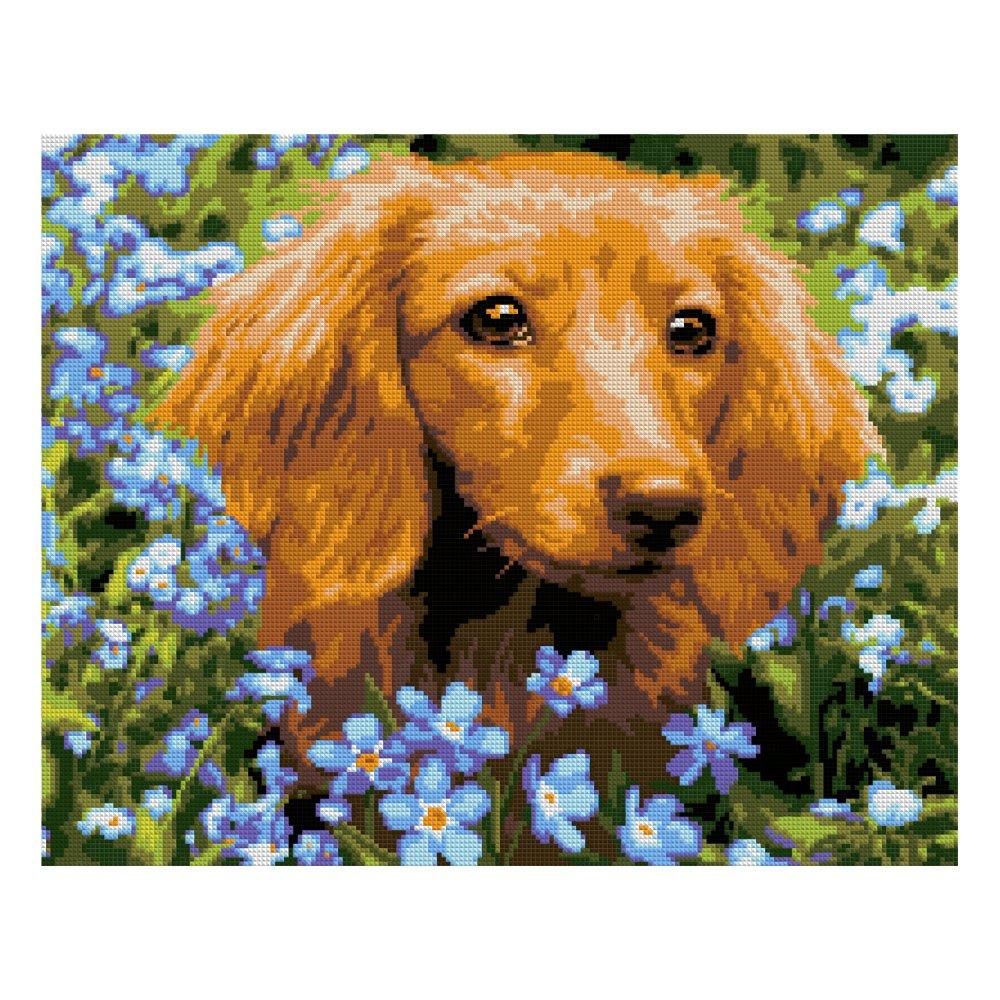 Алмазная мозаика 40*50см полн.заполн. "Такса" (Lori) Алмазная мозаика 40*50см полн.заполн. "Такса" (Lori)