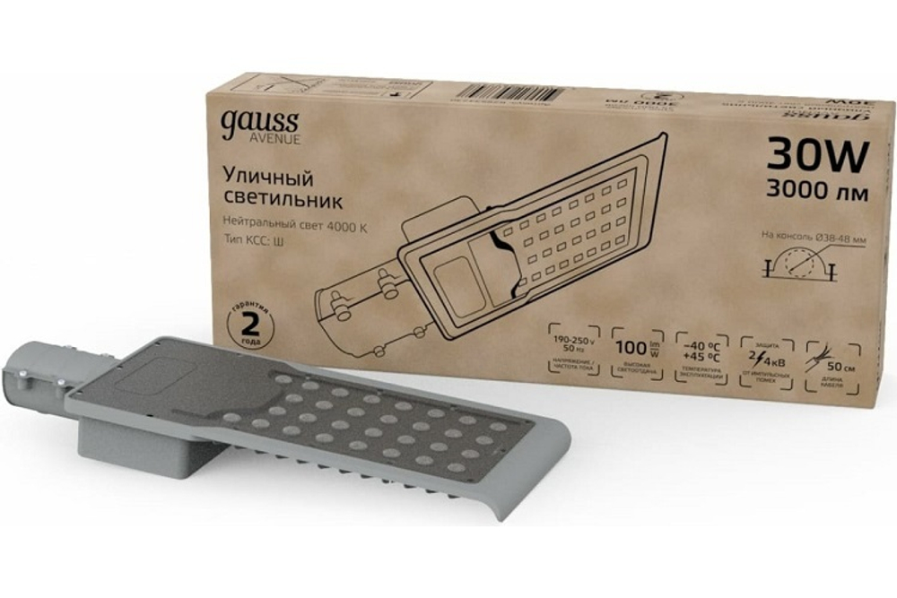 Светильник уличный Gauss 629534230