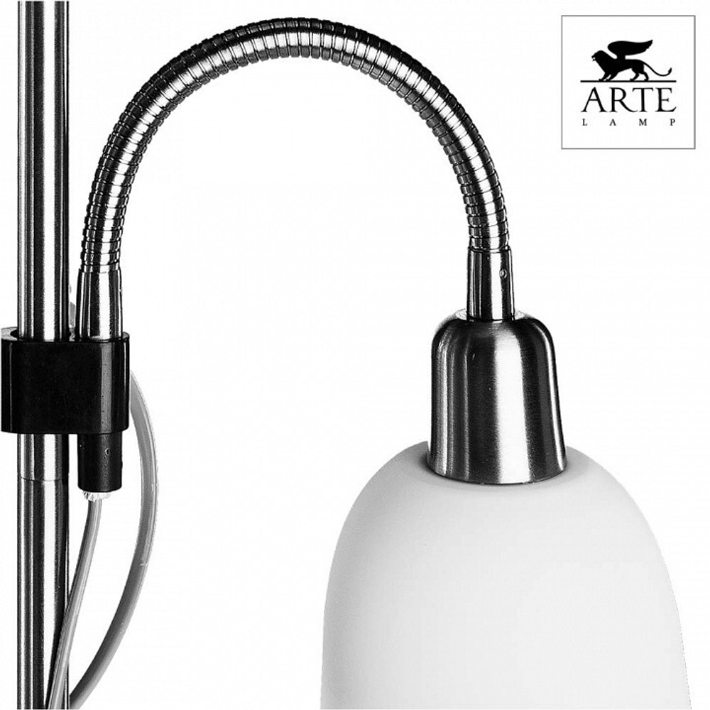 Торшер Arte Lamp A9569PN-2SS