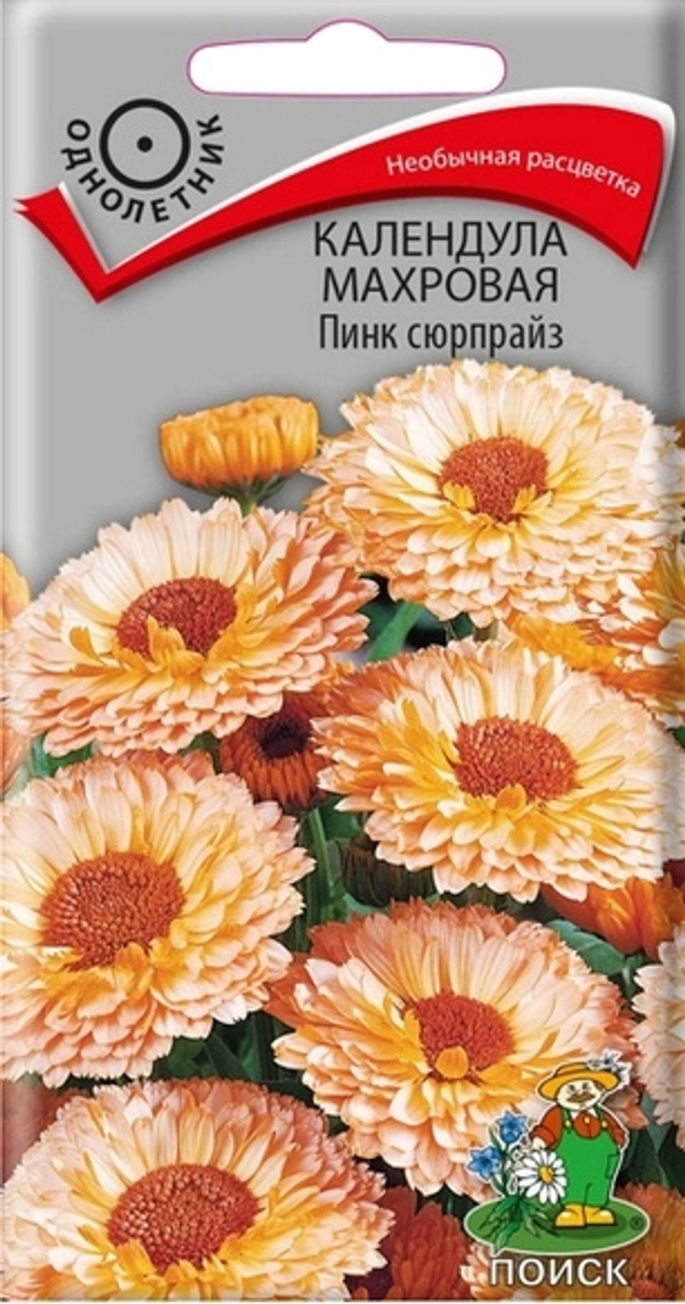 Календула Пинк сюрпрайз