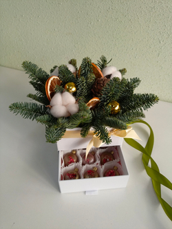 Шкатулка новогодняя  с нобилисом