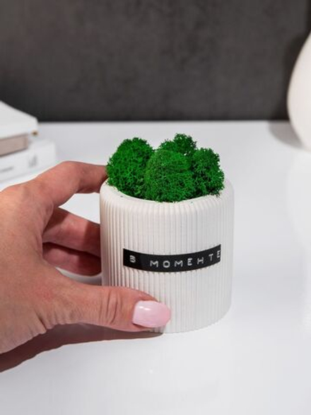 Кашпо с натуральным стабилизированное мхом