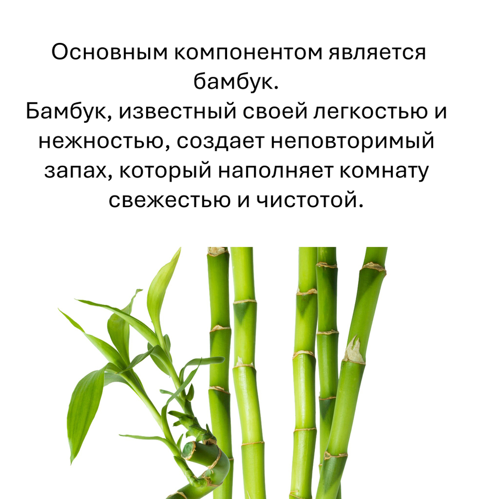 Бамбук, кубики восковые для ароматизации, 10 штук