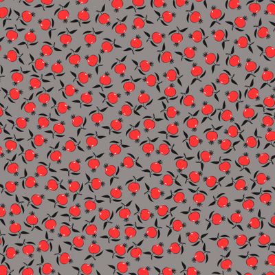 Шиповник на сером фоне