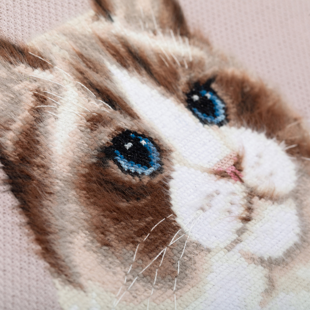 Набор для вышивания "PANNA" J-7411 "Рэгдолл" 19.5 х 24.5 см