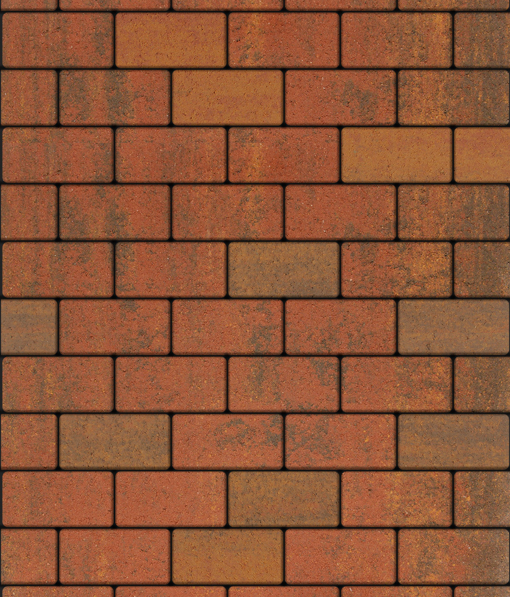 Тротуарная плитка ВЫБОР, форма Прямоугольник 100*200, h=60мм