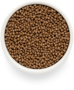 Grandorf Fresh Cat Potato корм сухой беззерновой для котят ягнёнок с бататом