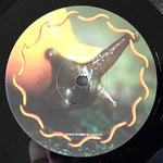 A Perfect Circle / Thirteenth Step (2LP)