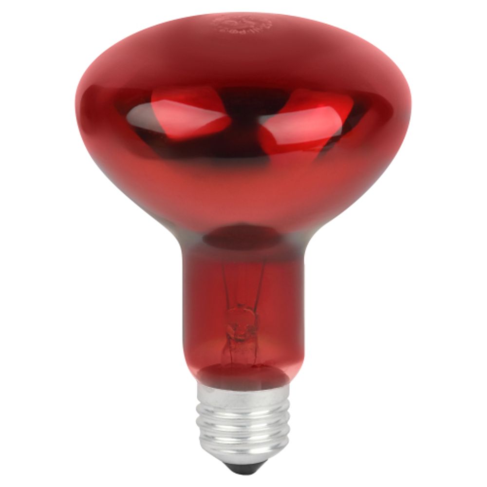 Инфракрасная лампа ЭРА ИКЗК 230-100 R95 E27 для обогрева животных и освещения 100 Вт | Инфракрасные лампы