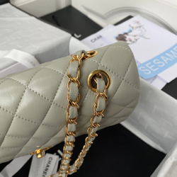 Chane1 Classic Flap Bag 25 cm