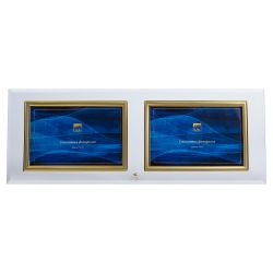 GT 234/-G горизонтальная прямая двойная , золото 10х15 | GT