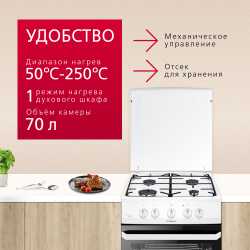 Газовая плита Hansa FCGW510009