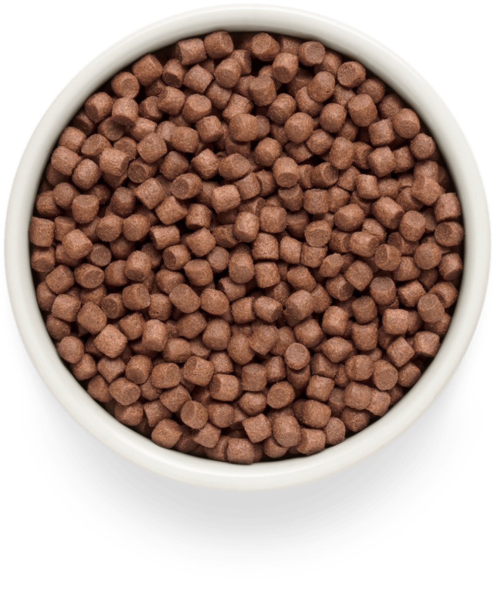 GRANDORF Fresh Dog Adult MINI Lamb&Sweet Potato Ягненок с бататом для собак мелких пород