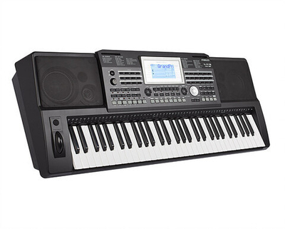 Синтезатор Medeli A810