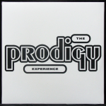 Prodigy - Experience