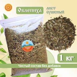 Лист облепихи.