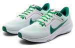 Кроссовки Nike Air Zoom Pegasus 40 Prm